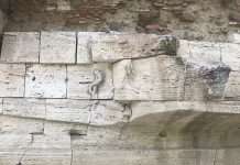 Il Culto di Esculapio nell’Antica Roma: La Peste, il Serpente Sacro e l’Isola Tiberina